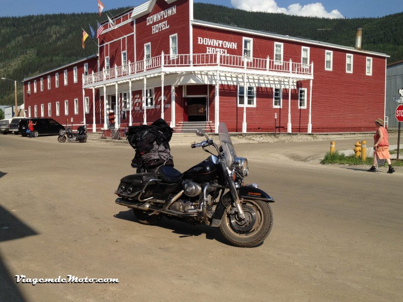 61° dia – Whitehorse – Chicken