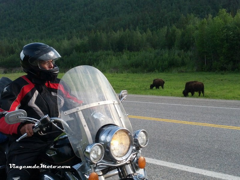 59° dia – Fort Saint John – Coal River