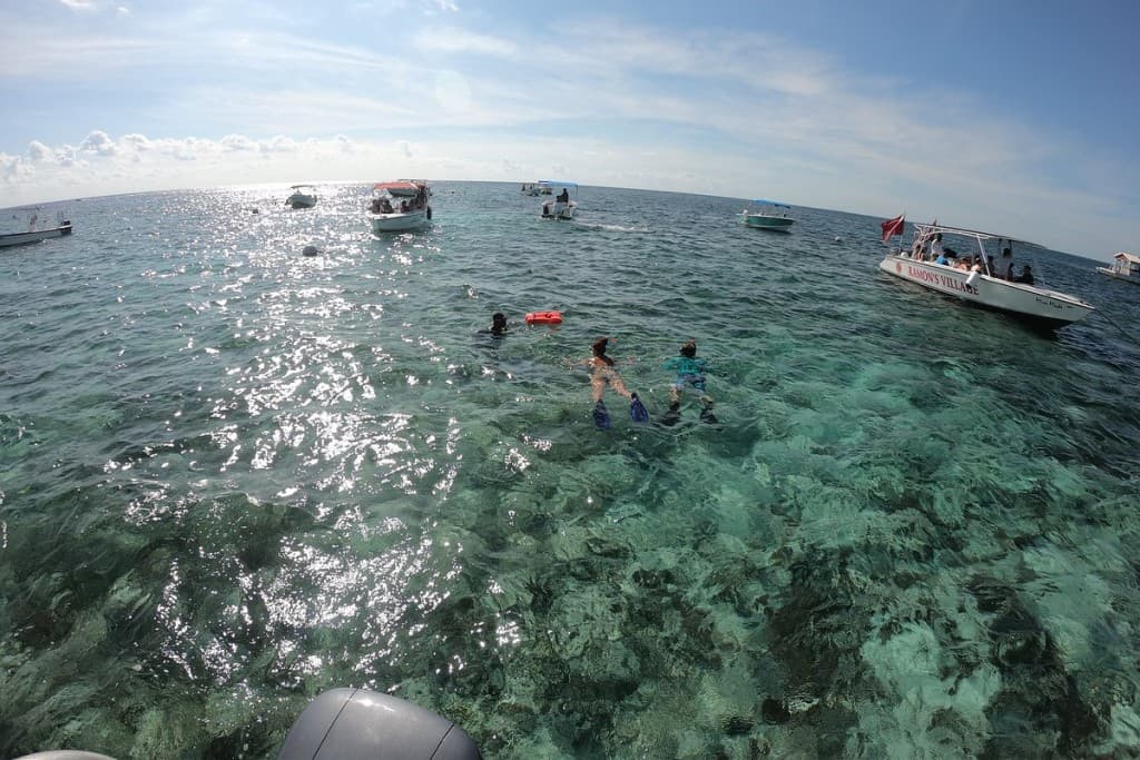 37° – San Pedro e Shark Ray Alley