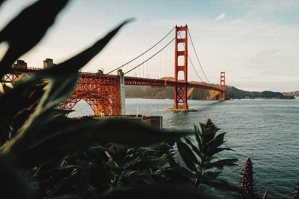 85° dia – San Francisco