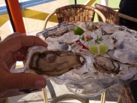 154° dia – Araranguá – Florianópolis