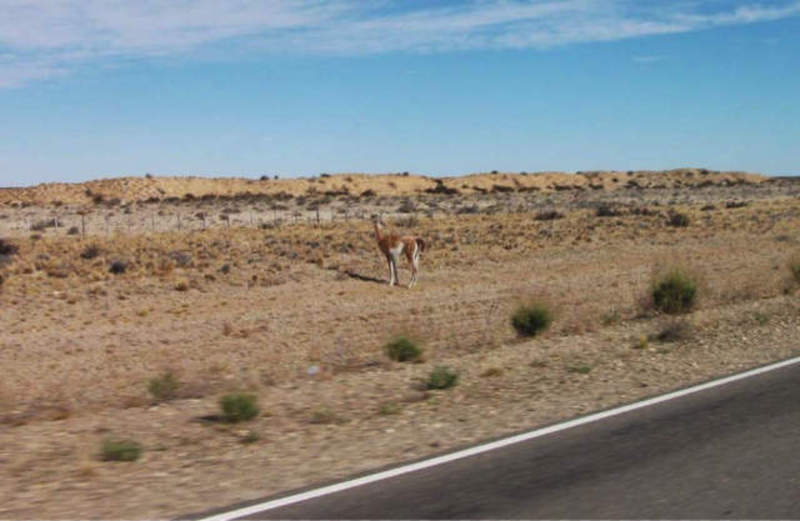 15º dia – de Puerto San Julián a Trelew