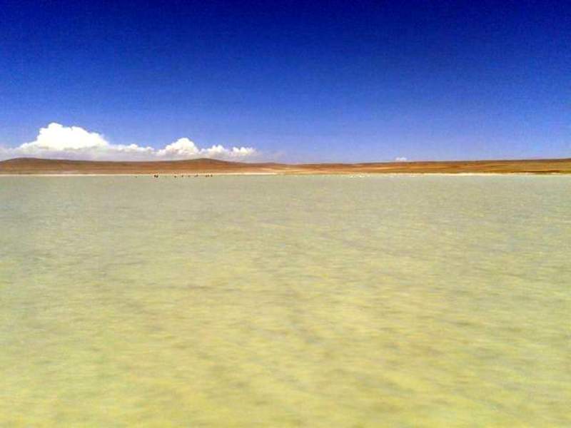 14º dia – Salar de Huasco