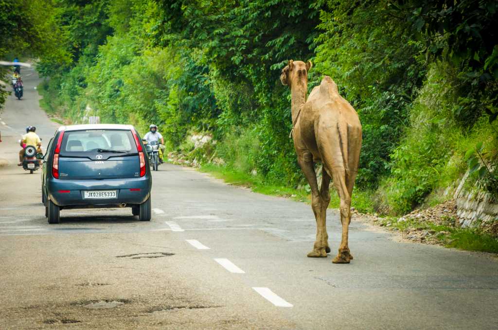 8º dia – De Srinagar a Jammu