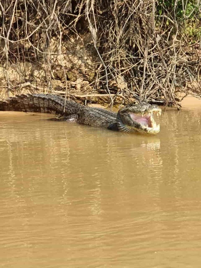 Viagem de moto pelo Pantanal Mato-grossense